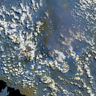 Export Image