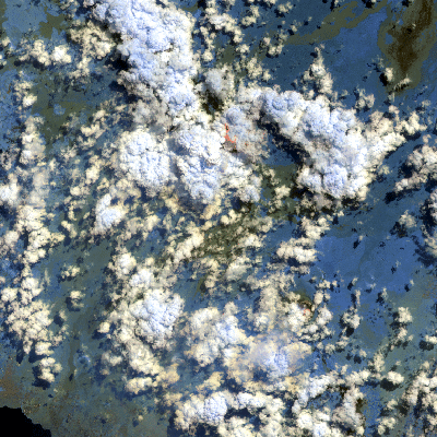 Export Image