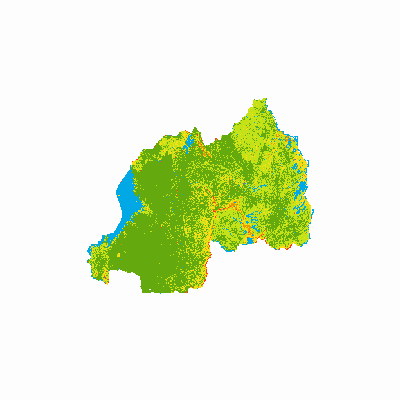 Export Image