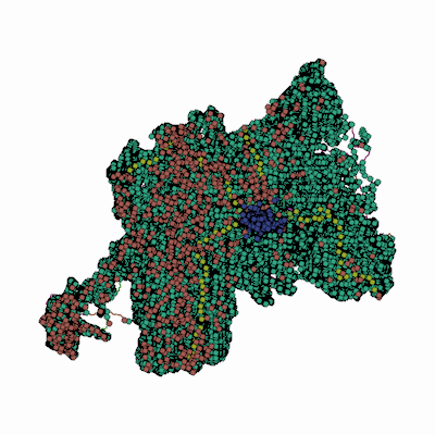 Export Image
