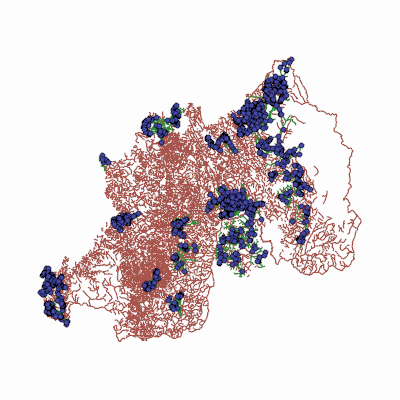 Export Image